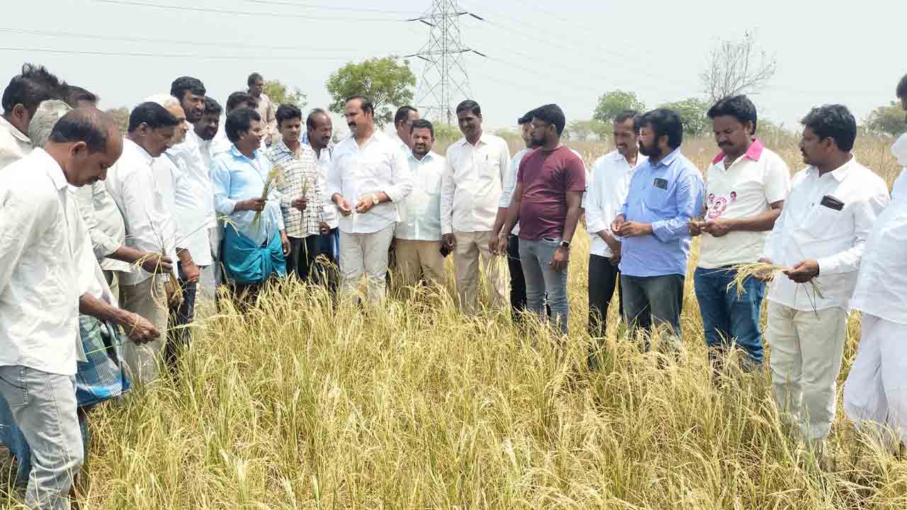 పంట నష్టపోయిన రైతులను ప్రభుత్వం ఆదుకోవాలి