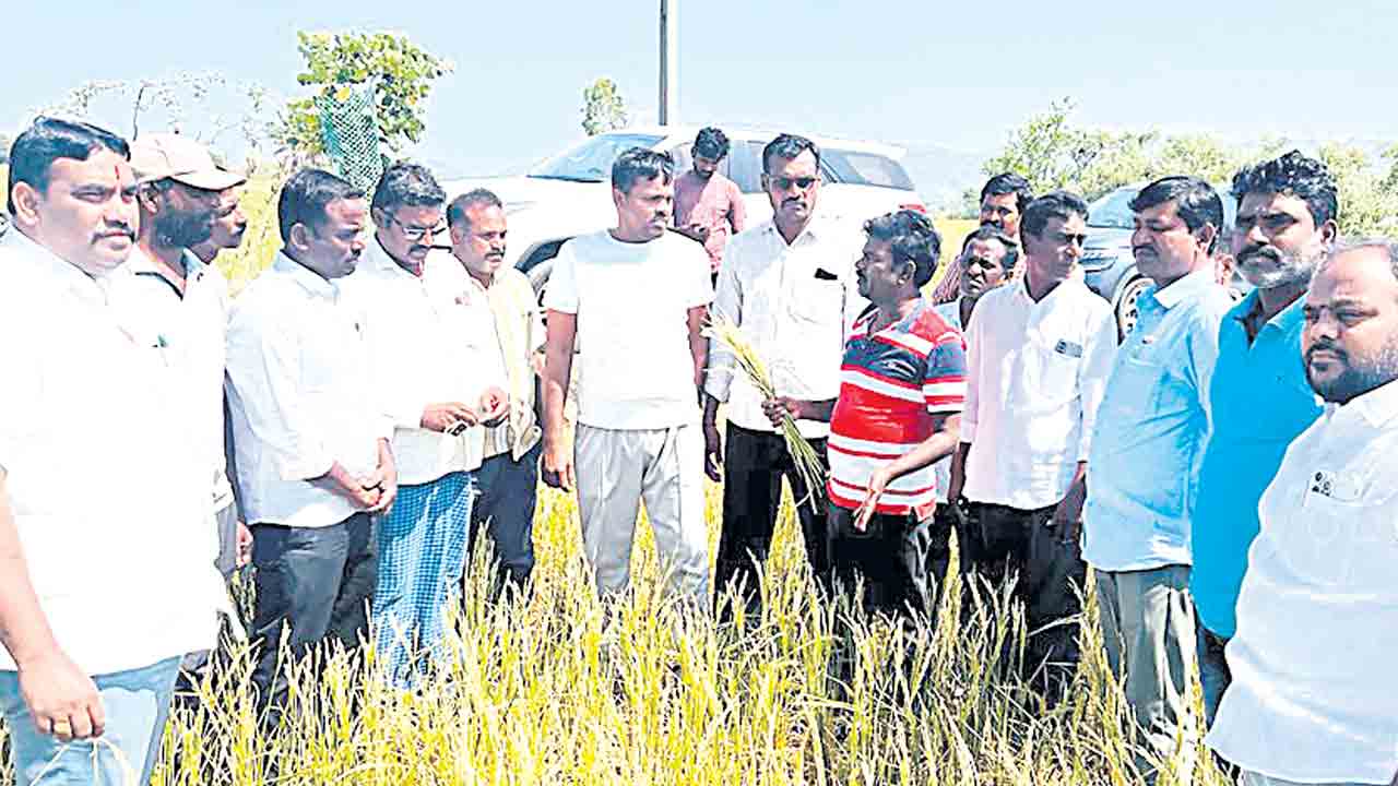 కాంగ్రెస్‌ పాలనలో రైతులకు కన్నీళ్లు