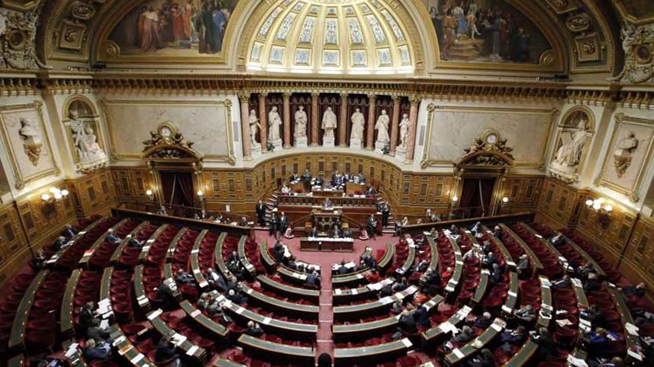 Abortion | అబార్షన్‌ అక్కడ రాజ్యాంగ హక్కు.. చారిత్రక బిల్లును ఆమోదించిన..