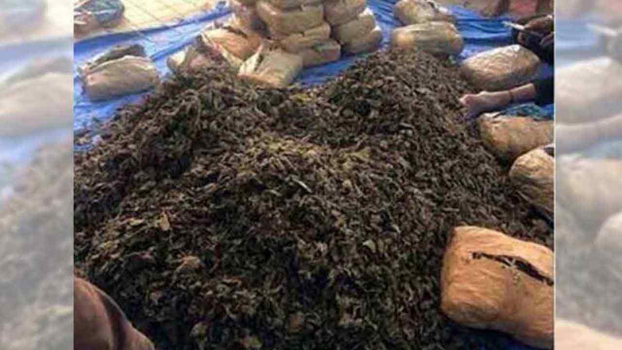 Ganja | రాజేంద్ర నగర్‌లో 125 కిలోల గంజాయి పట్టివేత