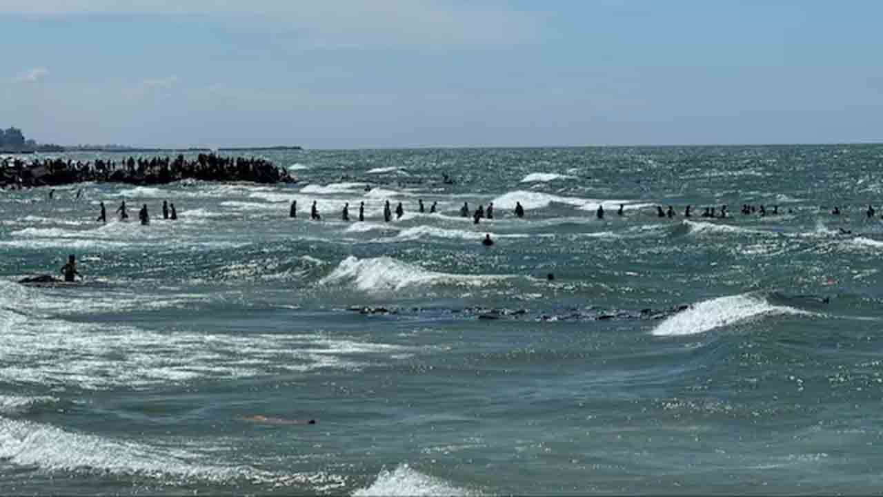 Gaza | గాజాలో దయనీయం.. ఆహారం చేజిక్కించుకునేందుకు వెళ్లి 18 మంది మృతి