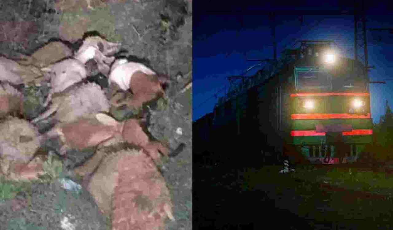 Hanamkonda | హనుమకొండలో ఘోర ప్రమాదం.. కాపరి సహా 80 గొర్రెలను ఢీకొట్టిన శాతవాహన ఎక్స్‌ప్రెస్‌