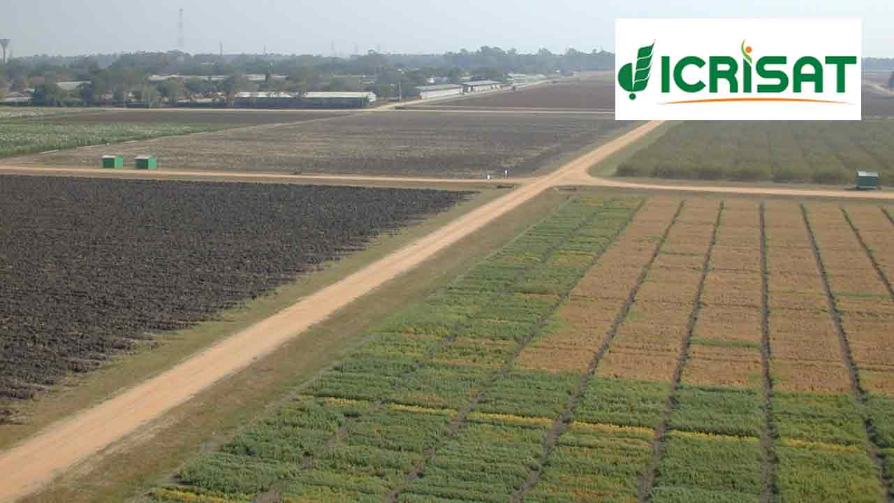 ICRISAT | మట్టి నాణ్యత పరీక్షకు ఇక్రిశాట్‌లో ప్రత్యేక ల్యాబ్‌