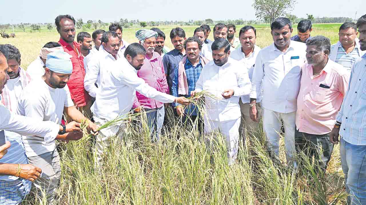 నీళ్లిస్తమంటేనే పంటలేసిండ్రు