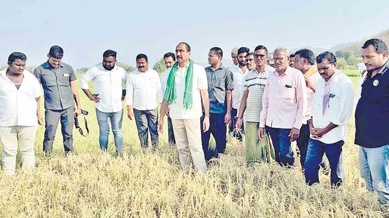 రైతులకు న్యాయం చేయండి