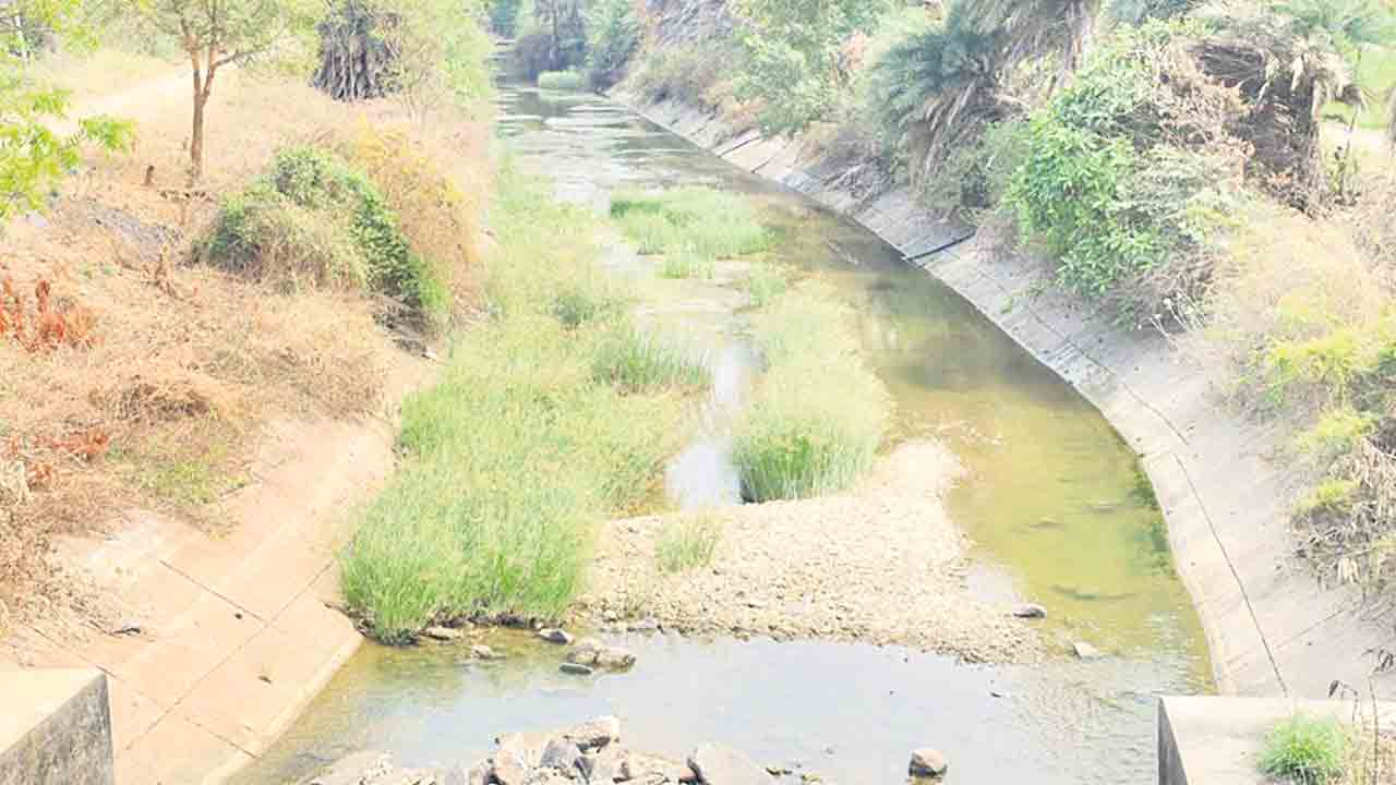 ఎస్సారెస్పీ చివరి ఆయకట్టుకు కాళేశ్వరమే జీవధార