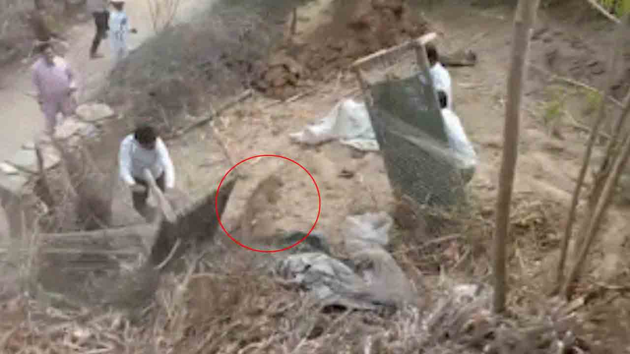 Leopard | బంధించే క్రమంలో దాడి చేసిన చిరుత.. అటవీ అధికారి సహా మరో వ్యక్తికి గాయాలు