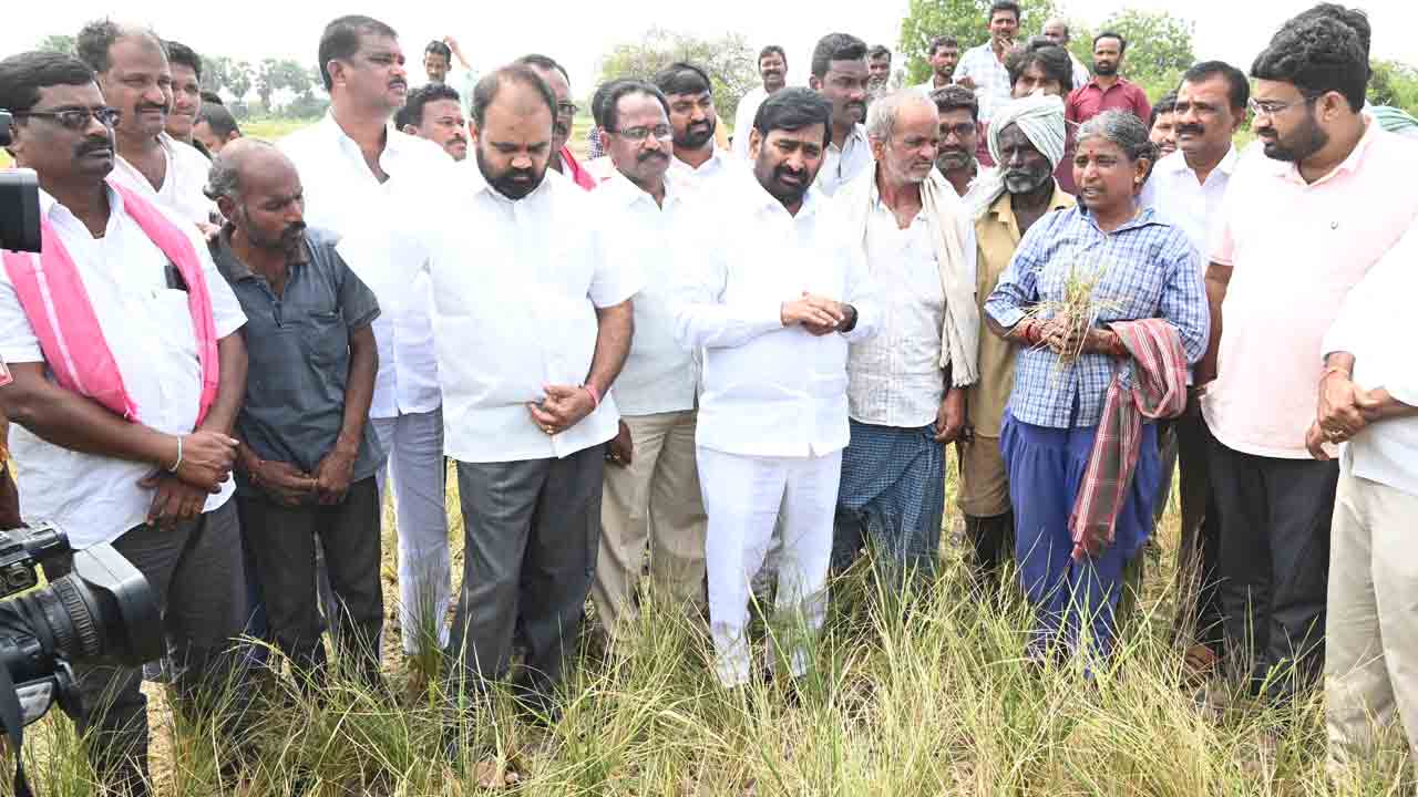 ఎండిపోతున్న పంటలతో తల్లడిల్లుతున్న రైతులు