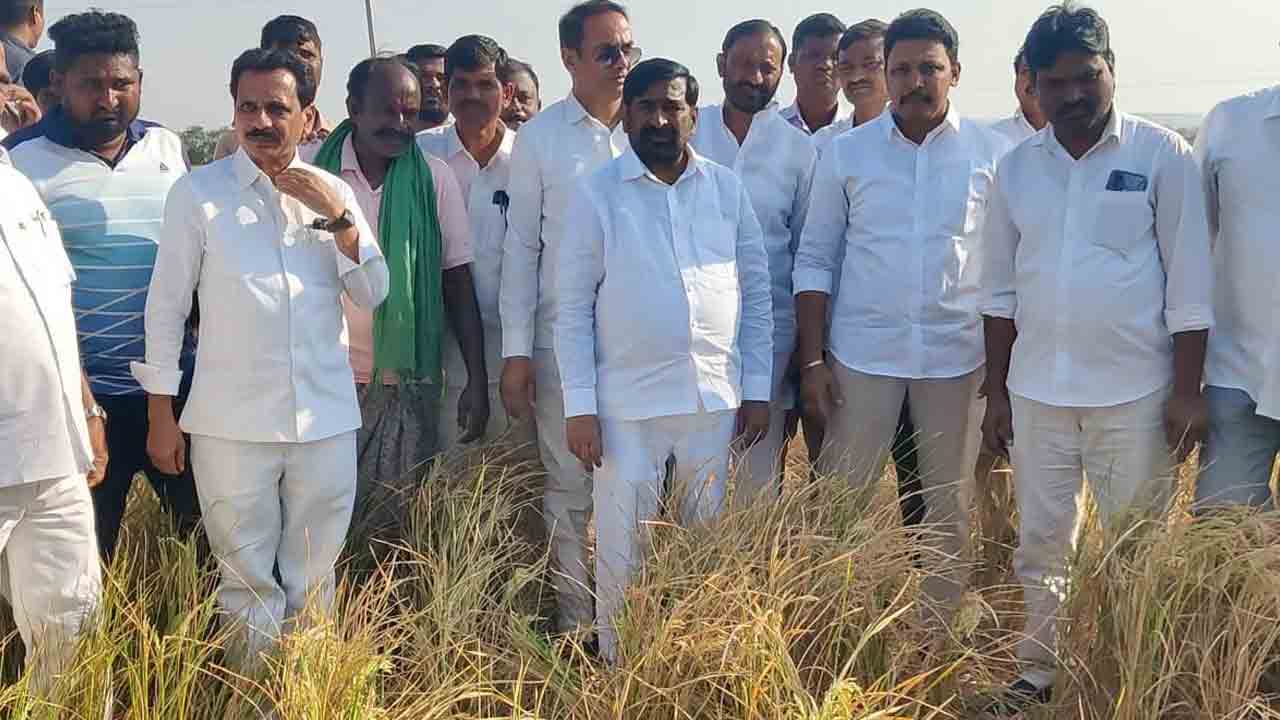 పంటలు ఎండుతున్నా పట్టించుకోని ప్రభుత్వం