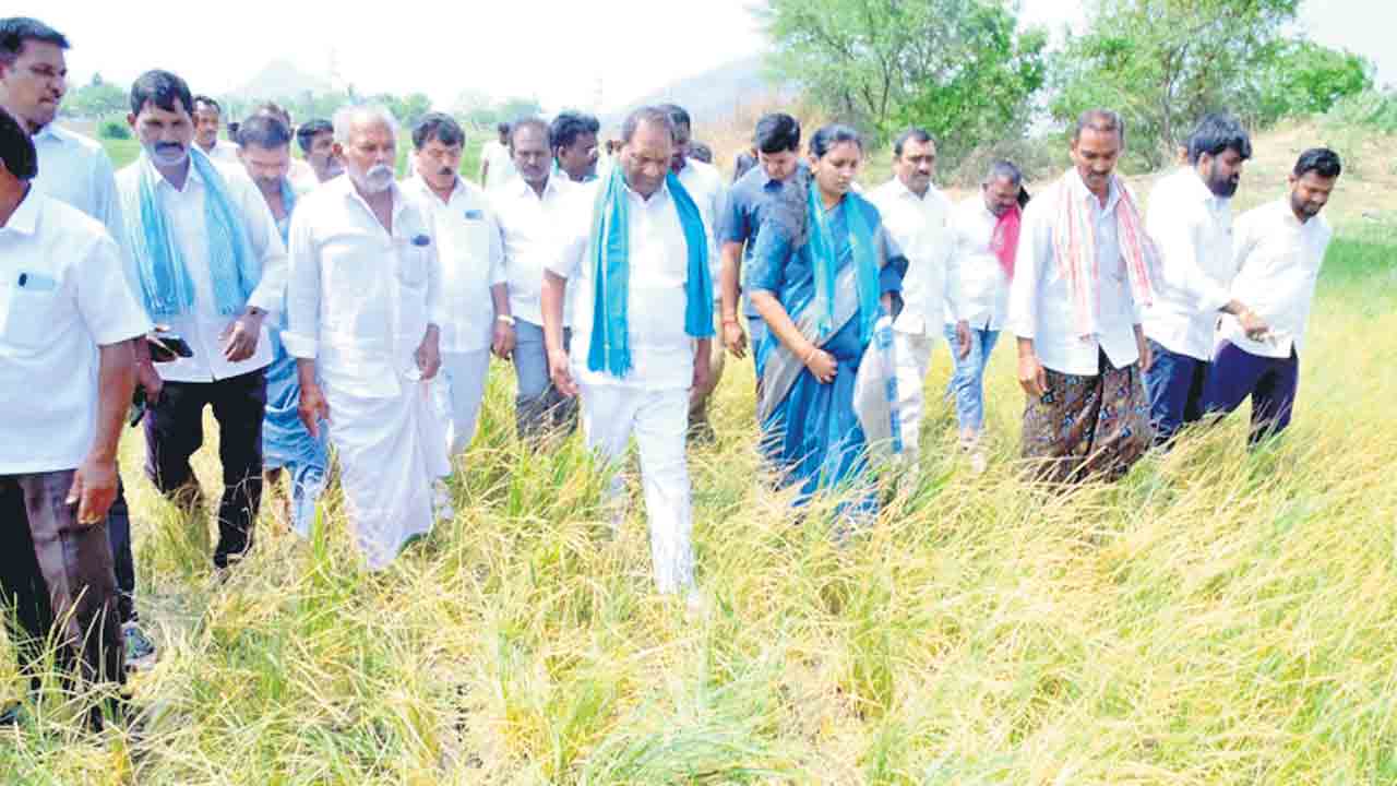 ఇది కాంగ్రెస్‌ తెచ్చిన కరువు