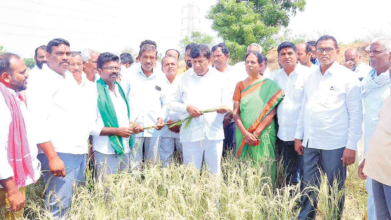 ఇది కాంగ్రెస్‌ తెచ్చిన కరువు