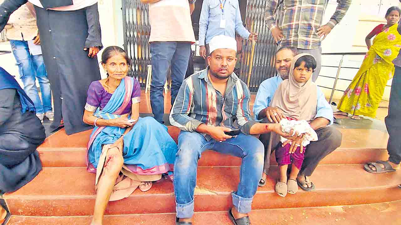 పిచ్చికుక్కల దాడి.. 15 మందికి గాయాలు