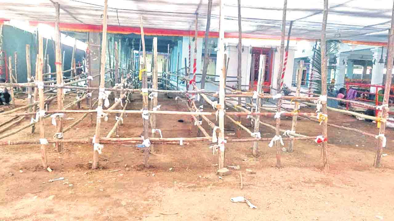 మహాశివరాత్రికి ముస్తాబు