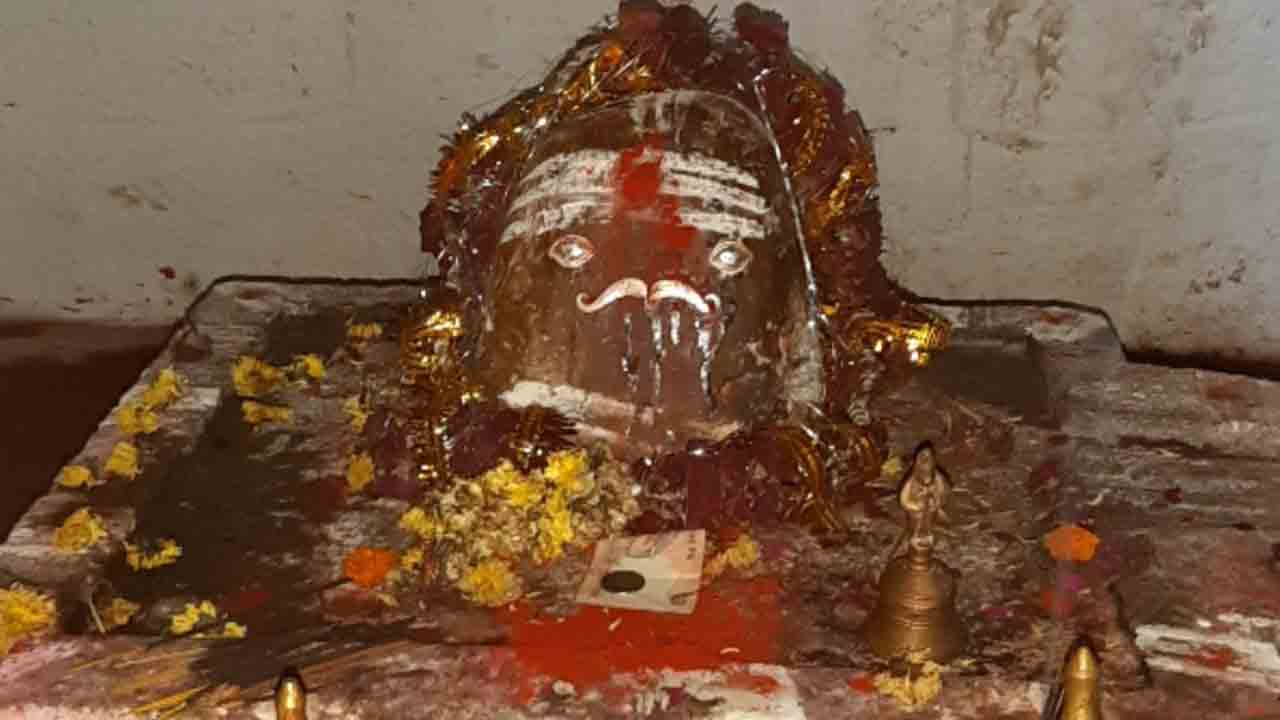 చెంచుల జాతర భౌరాపూర్‌