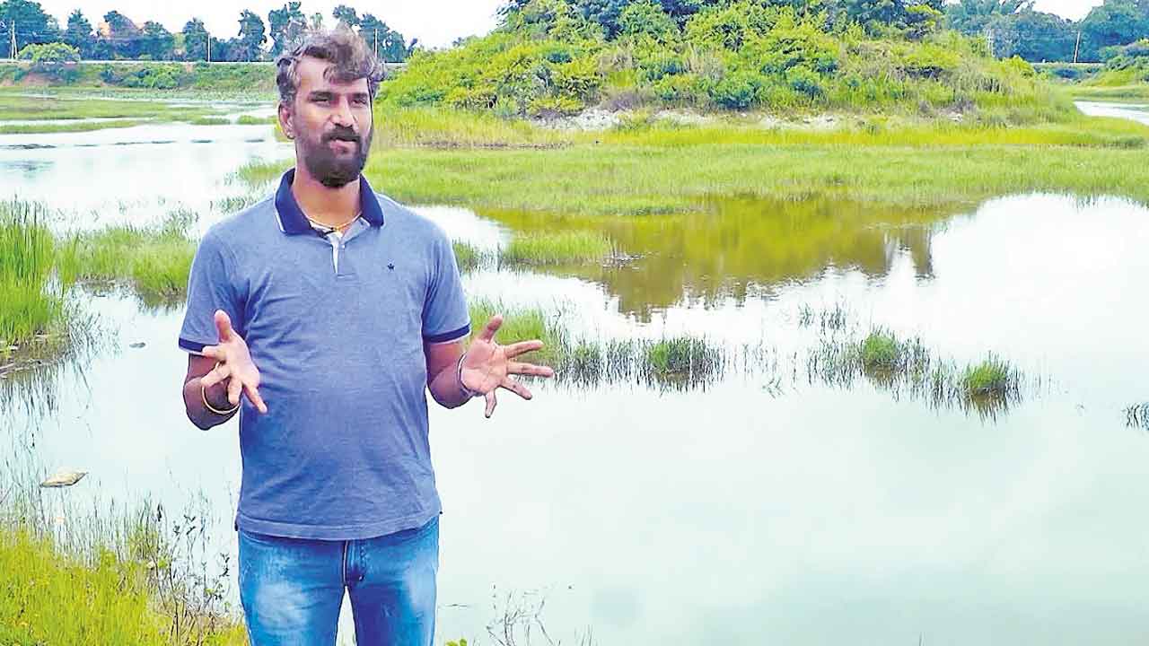 చెరువుల చెలికాడు