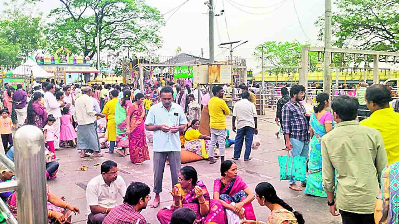 వనదేవతల సన్నిధిలో కోలాహలం