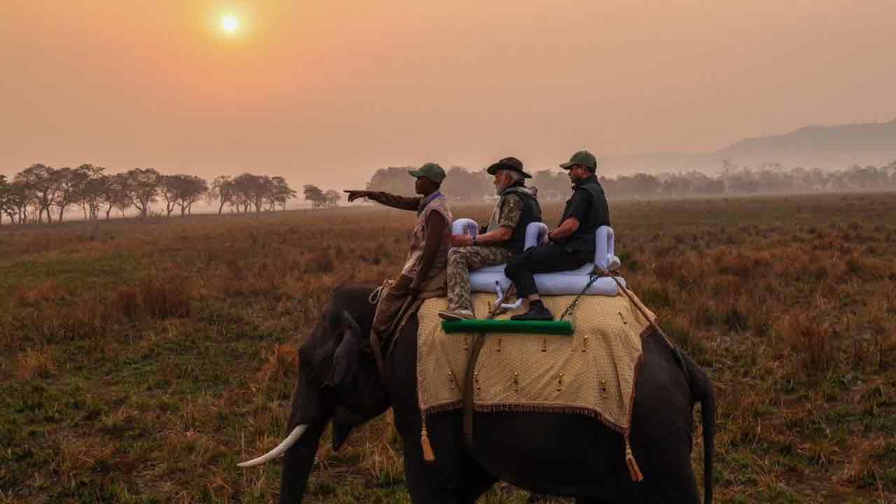 PM Modi | ఏనుగుపై ప్రధాని మోదీ సవారీ.. వీడియో