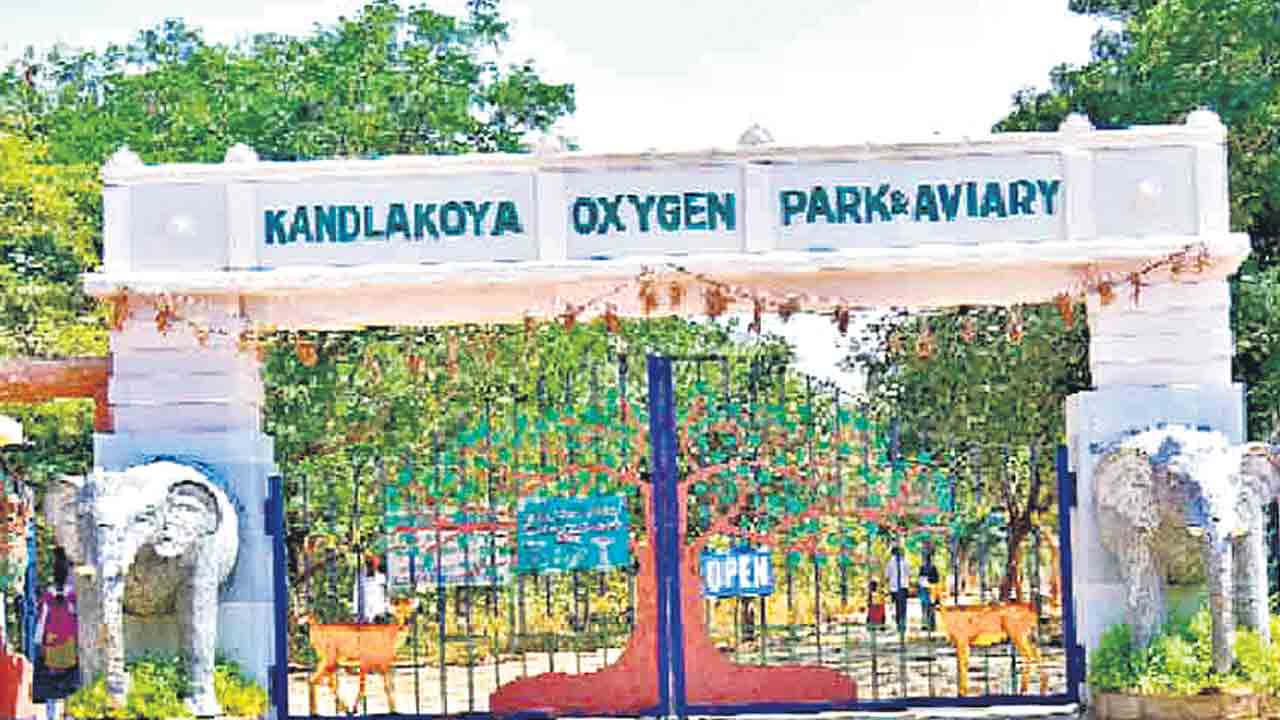 Urban Parks | ఆక్సిజన్‌ ఫ్యాక్టరీలుగా అర్బన్‌ పార్కులు.. పచ్చదనం పెంపునకు అటవీశాఖ చర్యలు