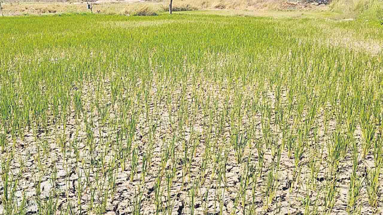 Telangana | మన భవిష్యత్తుకు ఓటేద్దాం