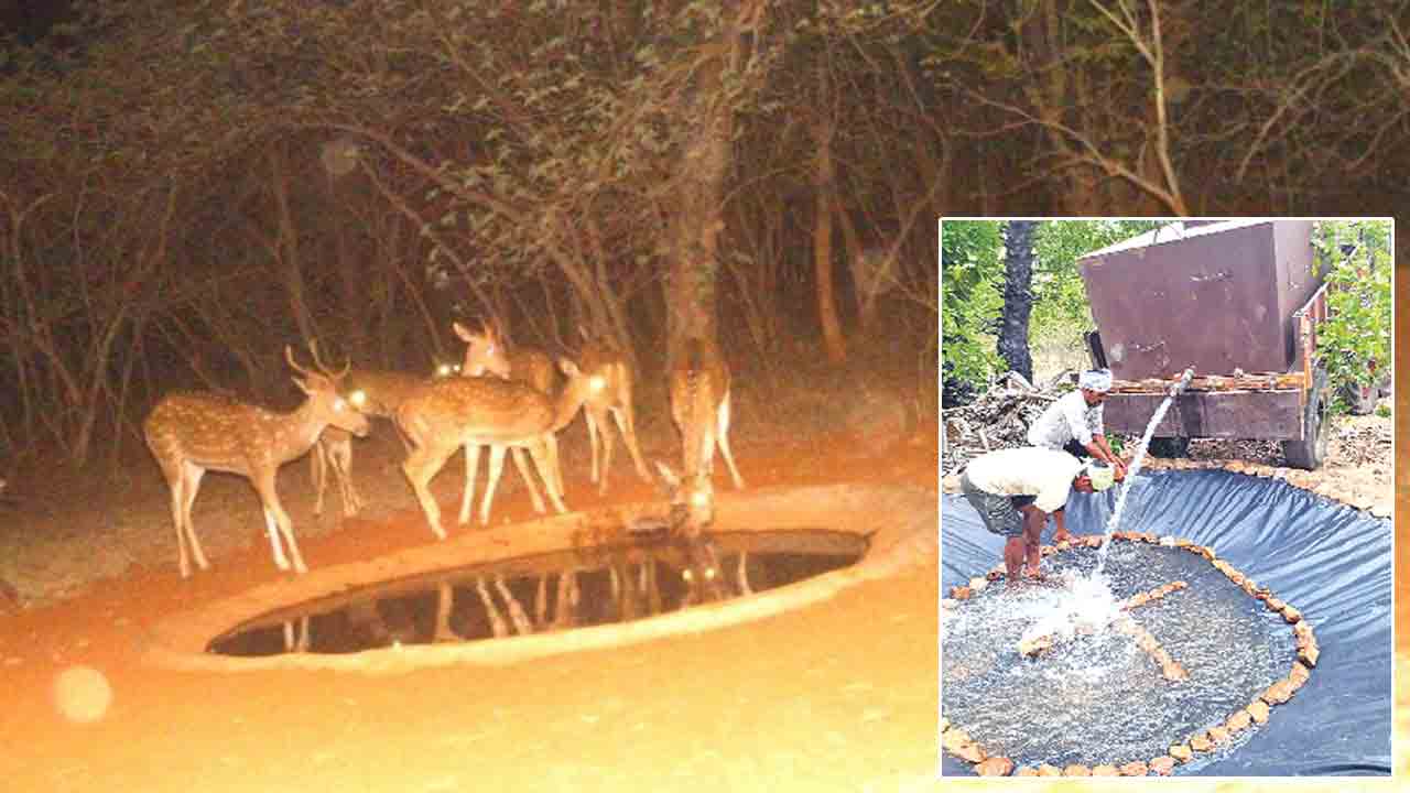 వన్యప్రాణుల దప్పిక తీర్చేలా..