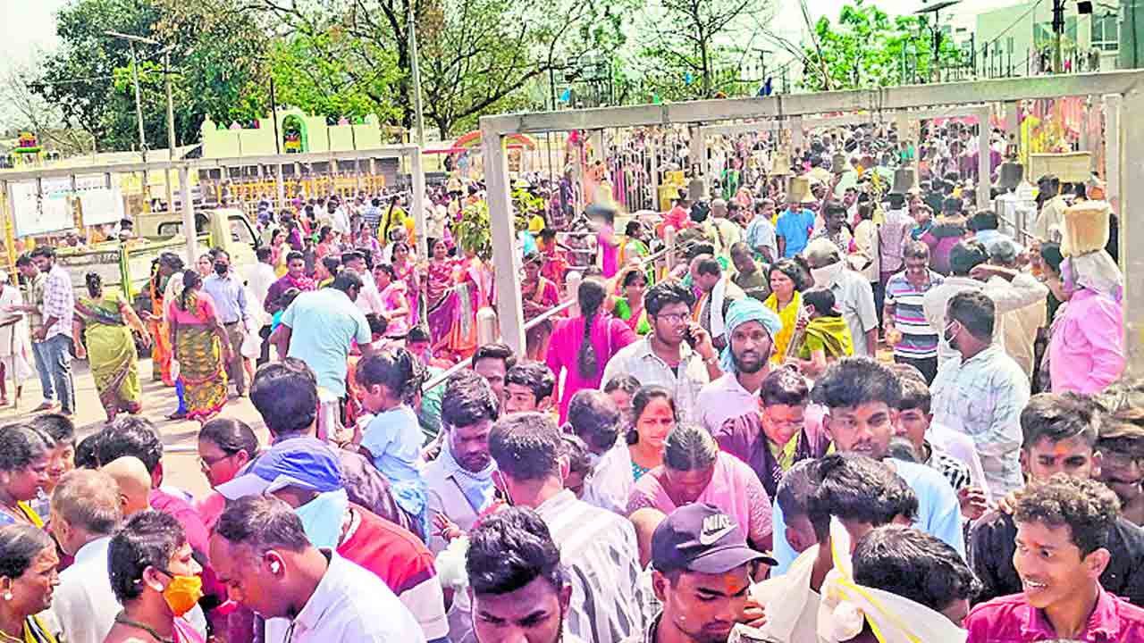 వనదేవతల సన్నిధిలో కోలాహలం