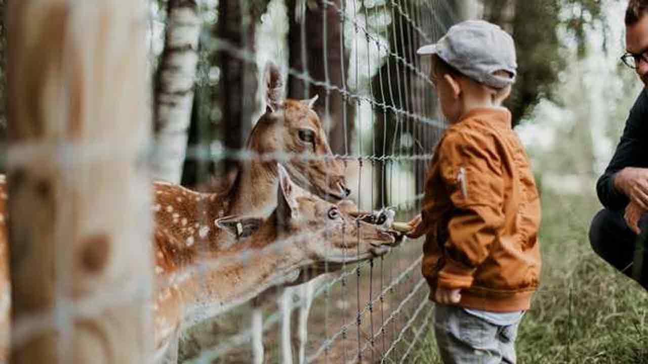 Katha Sudha | సేవ చేయడానికి అదే తొలిమెట్టు!