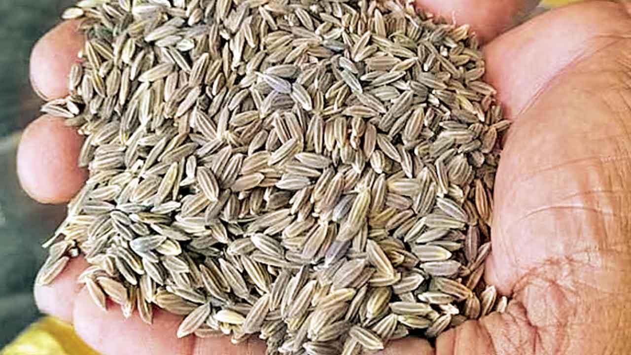 Skin cancer | క్యాన్సర్‌ను నియంత్రించే బియ్యం.. చర్మ క్యాన్సర్‌కు చెక్‌..!