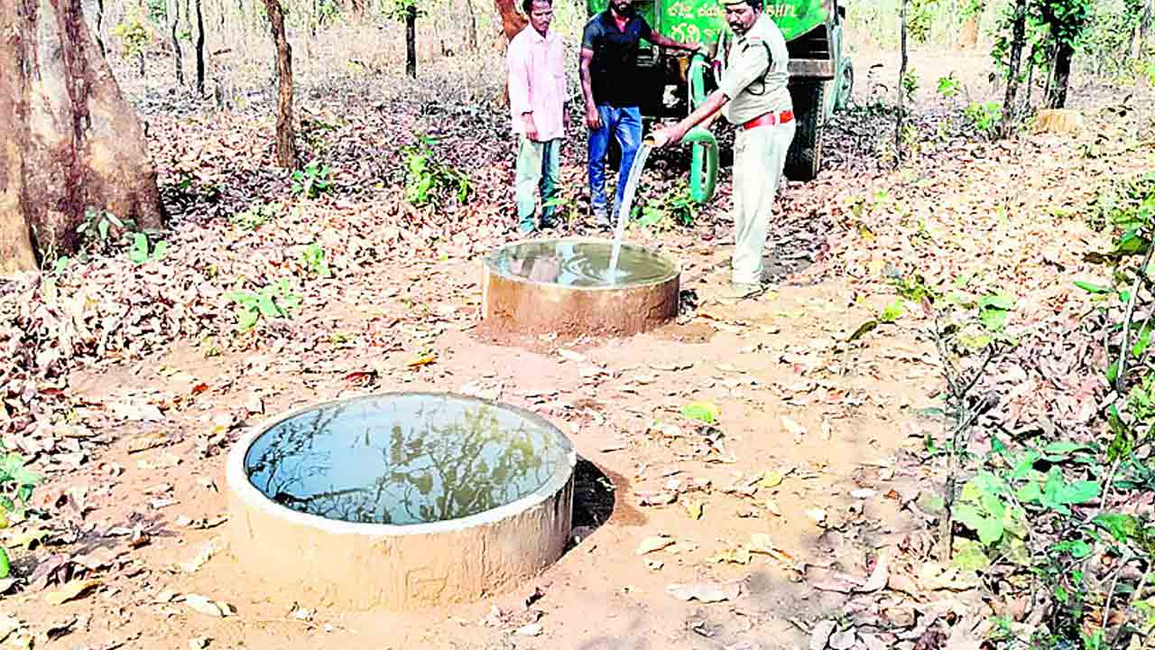 వన్యప్రాణులకు నీటి వసతి