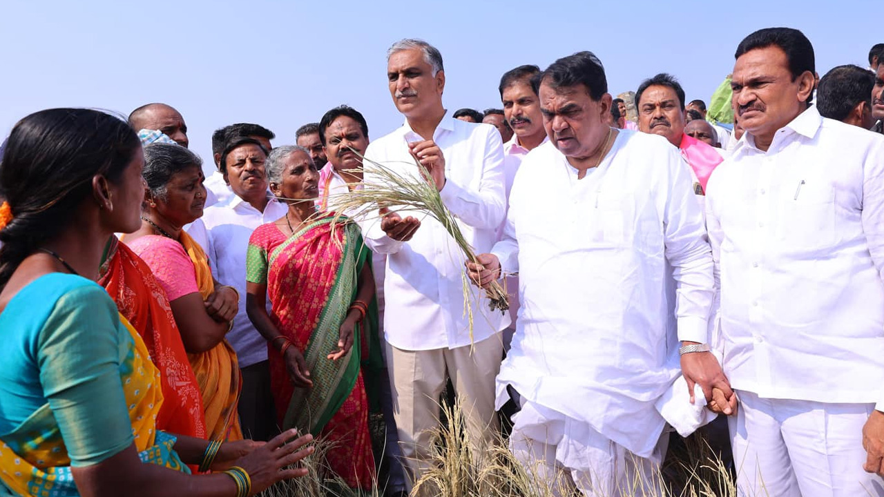 Pocharam | ఎండిన పంటలను పరిశీలించిన పోచారం, హరీశ్‌రావు