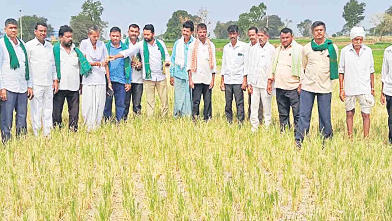 పంట నష్టపోయిన రైతులను ఆదుకోవాలి