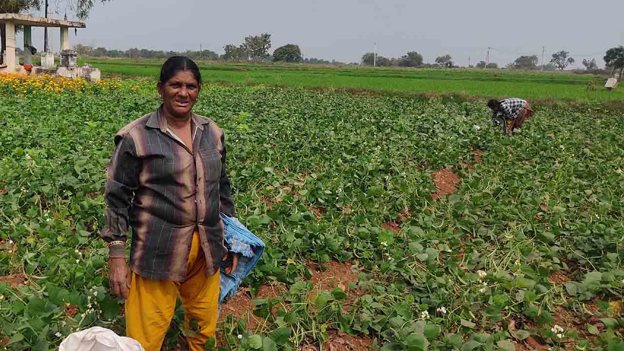 వ్యవసాయం.. ఆమె వ్యాపకం