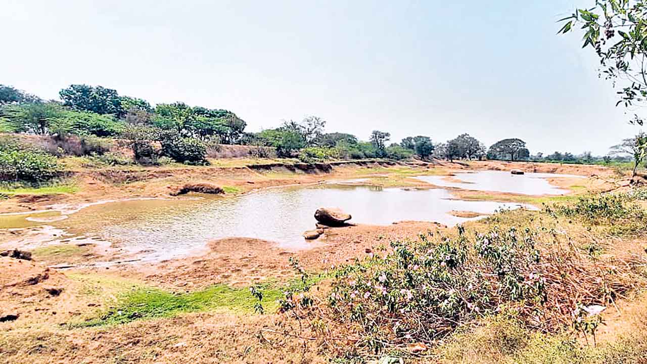 నెల రోజులు.. 600 బోర్లు