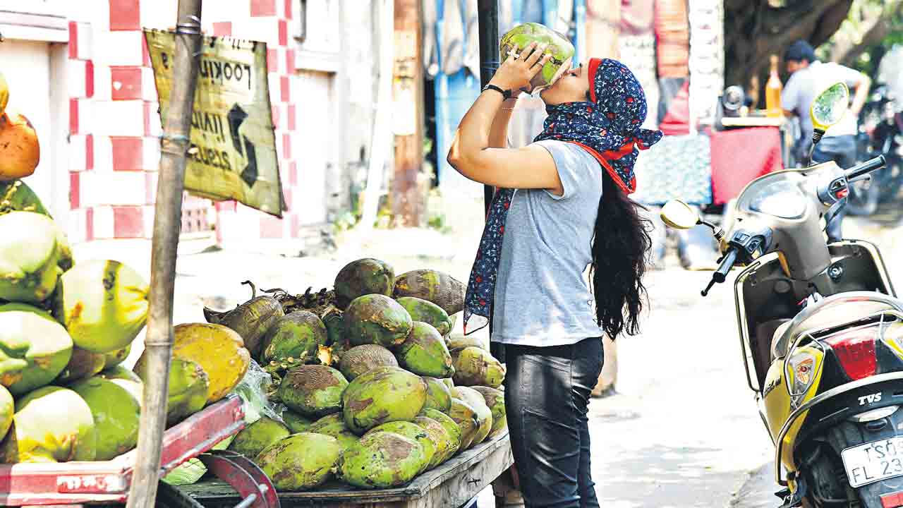 భానుడు భగభగ