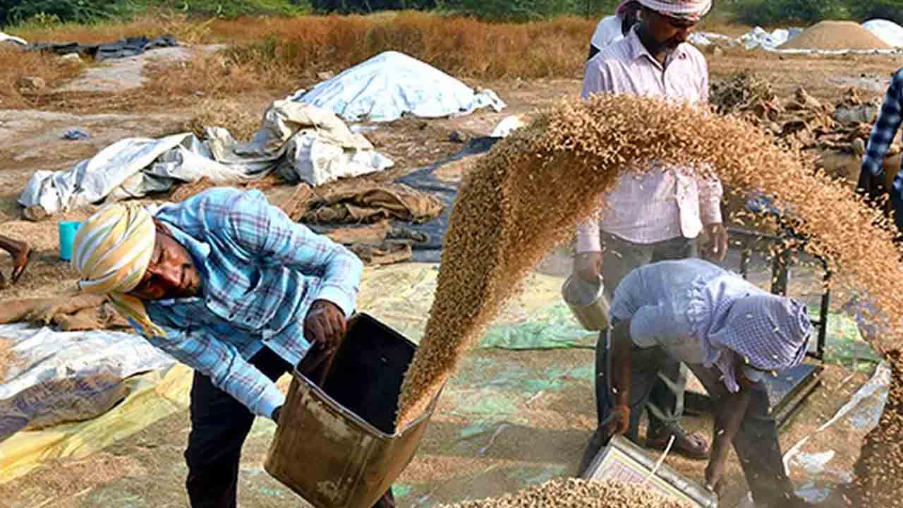 ‘పేట’లో 123 కేంద్రాలు