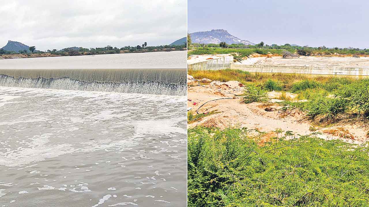 కరువు పడగ నీడలో..