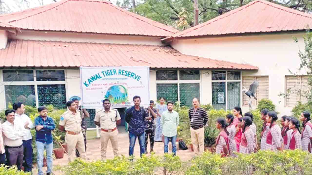 అడవులతోనే మానవ మనుగడ