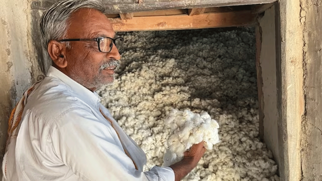 Cotton Farmers | గిట్టుబాటు ధ‌ర లేక ప‌త్తి రైతు దిగాలు