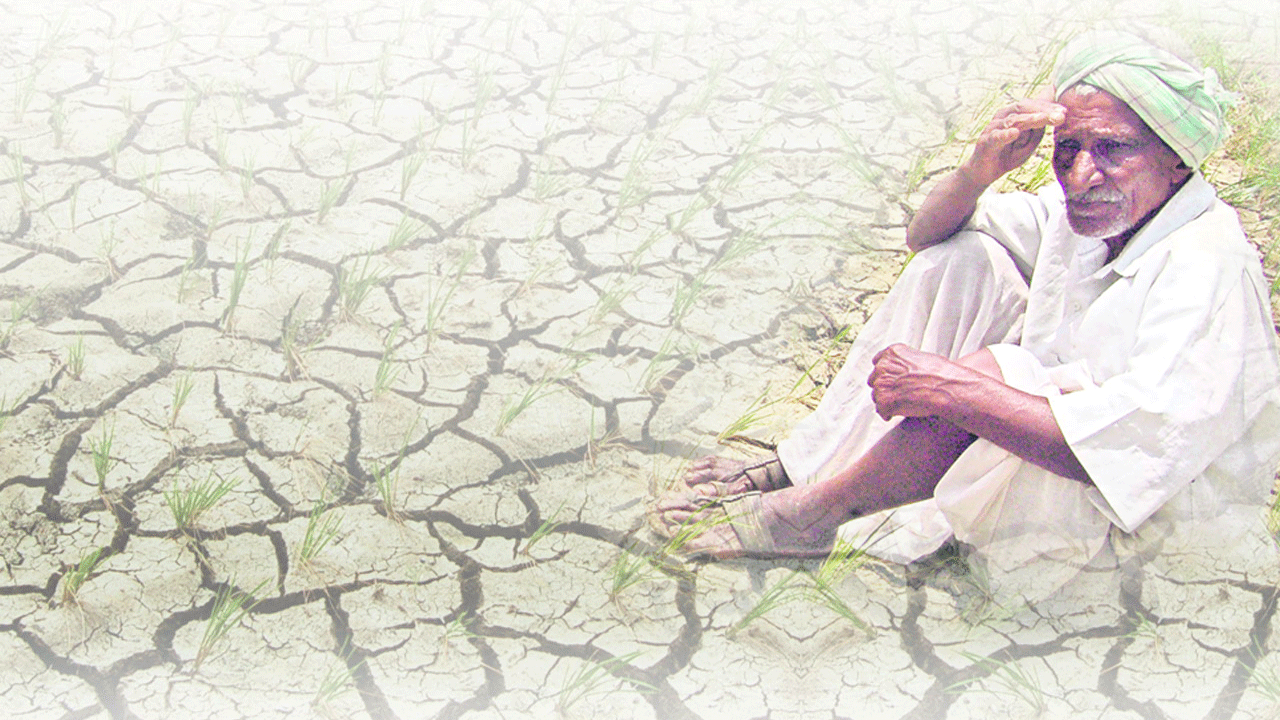 అడుగంటిన ఆశలు