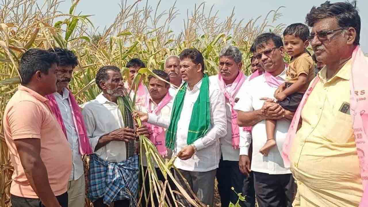 పంటలు ఎండుతున్నా పట్టించుకోరా..