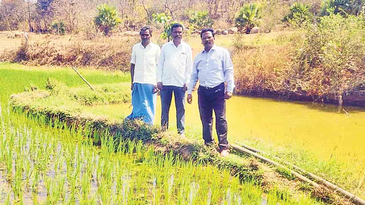 పంటల వివరాలు నమోదు చేయించుకోవాలి