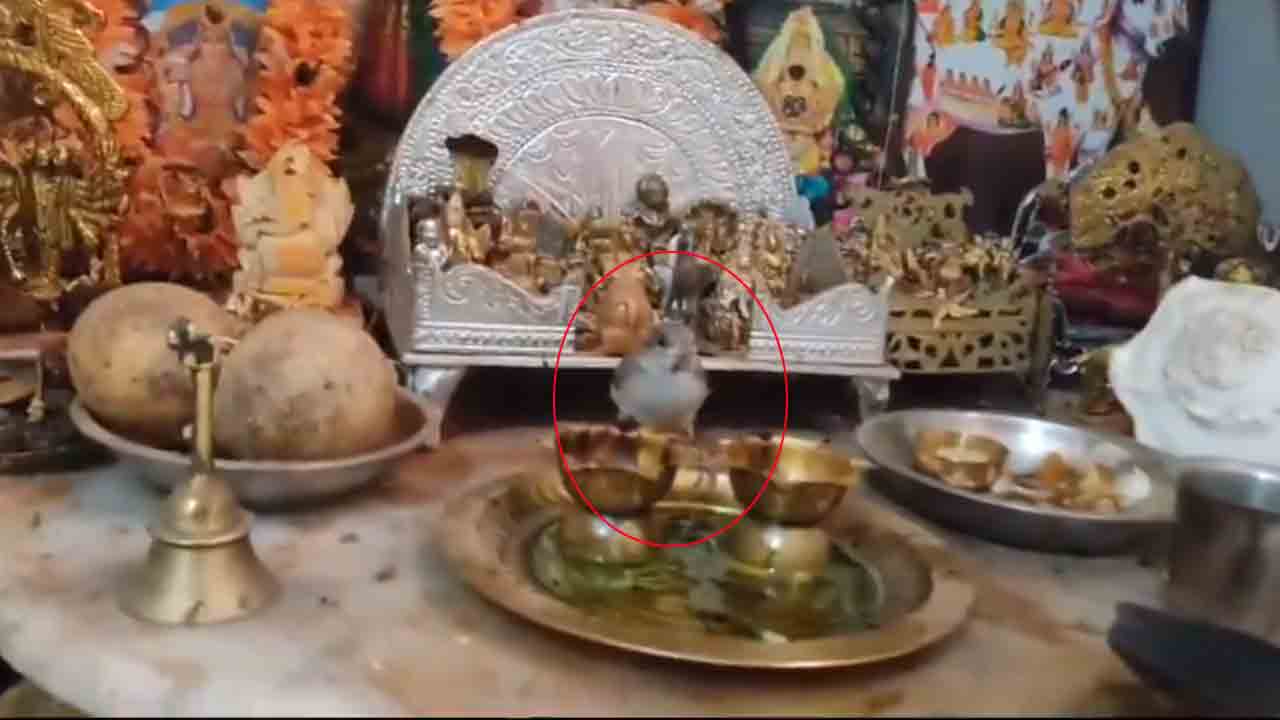 Jagtial | మ‌హా శివ‌రాత్రి.. పూజా మందిరంలో ధ్యానం చేసిన పిచ్చుక‌