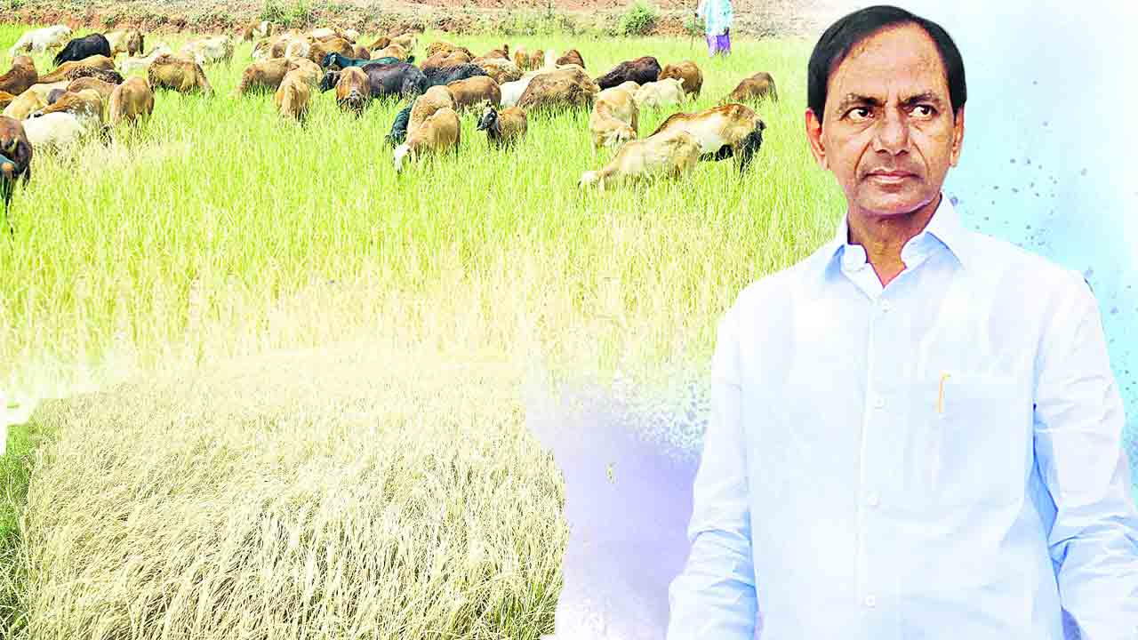 రైతన్నా..నేనున్నా..