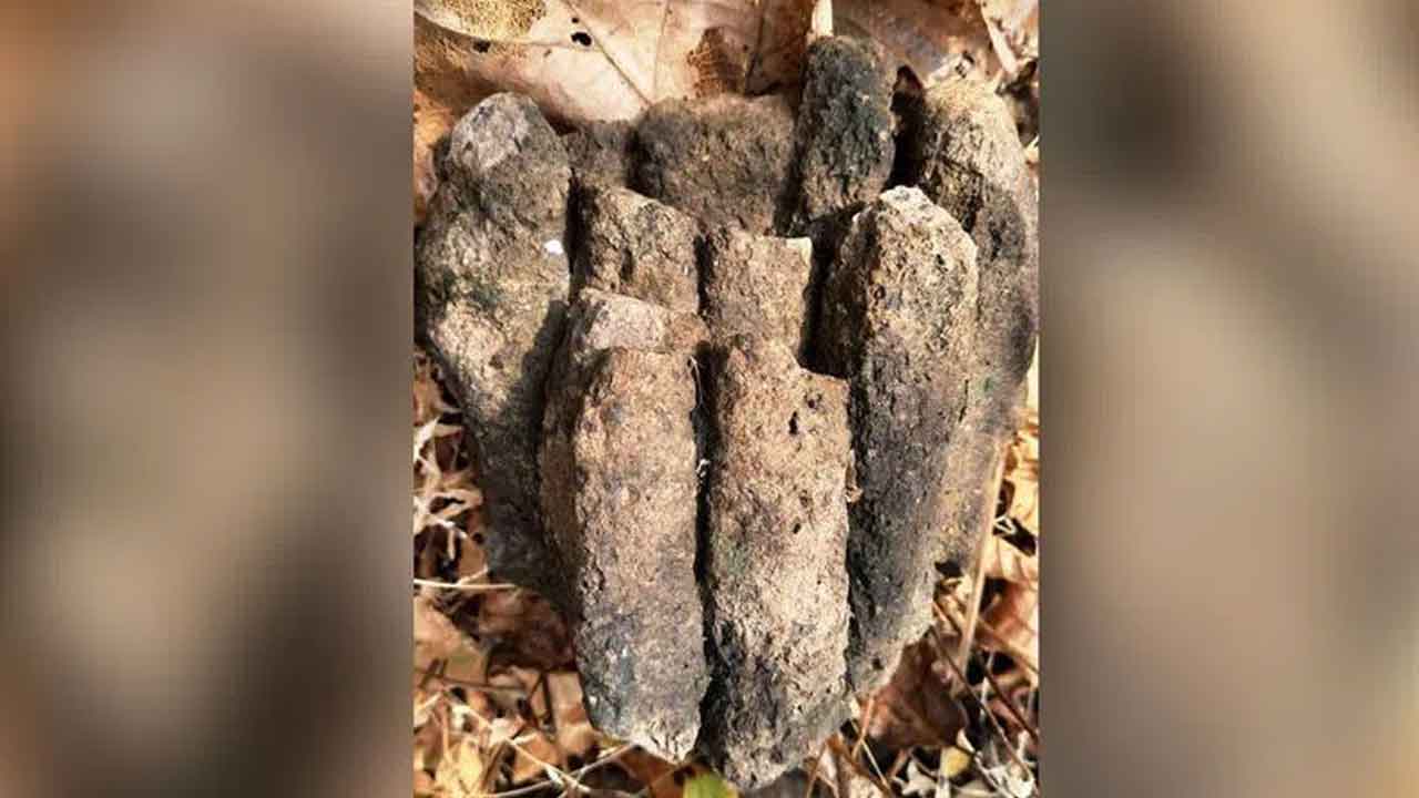 ఆసిఫాబాద్‌ అడవుల్లో బసాల్ట్‌ శిలలు