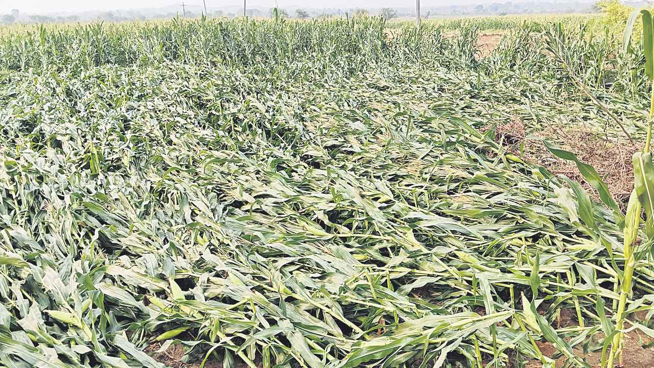 అన్నదాత కష్టం.. నీటిపాలు