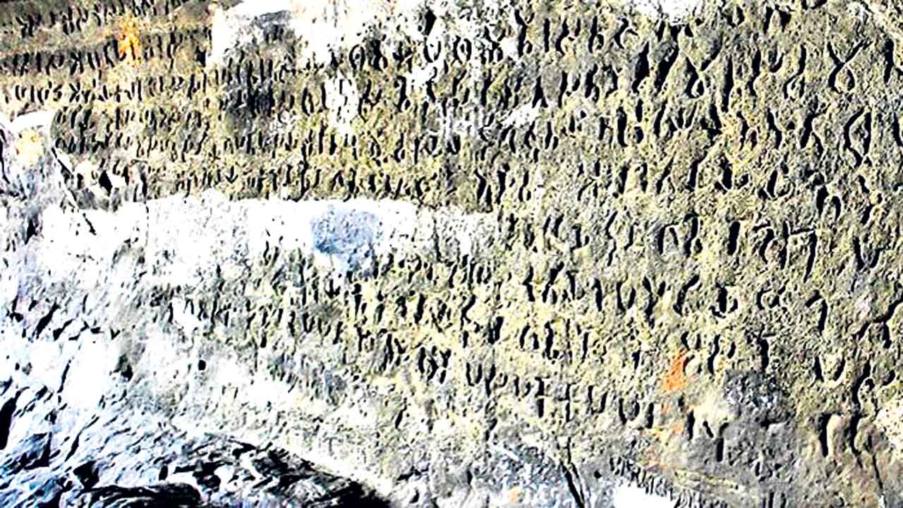 విశాల సామ్రాజ్య శాసనాధిపతులు