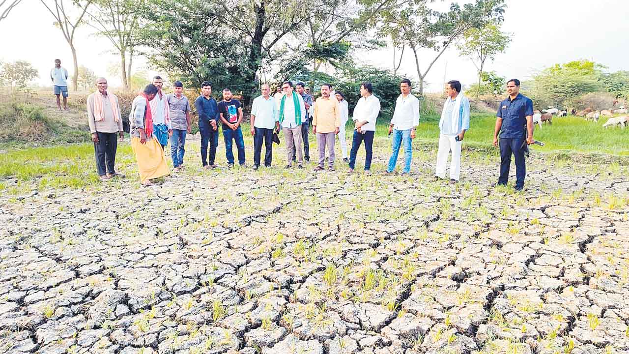 మార్పు అంటే పంటలు ఎండ బెట్టుడేనా..?