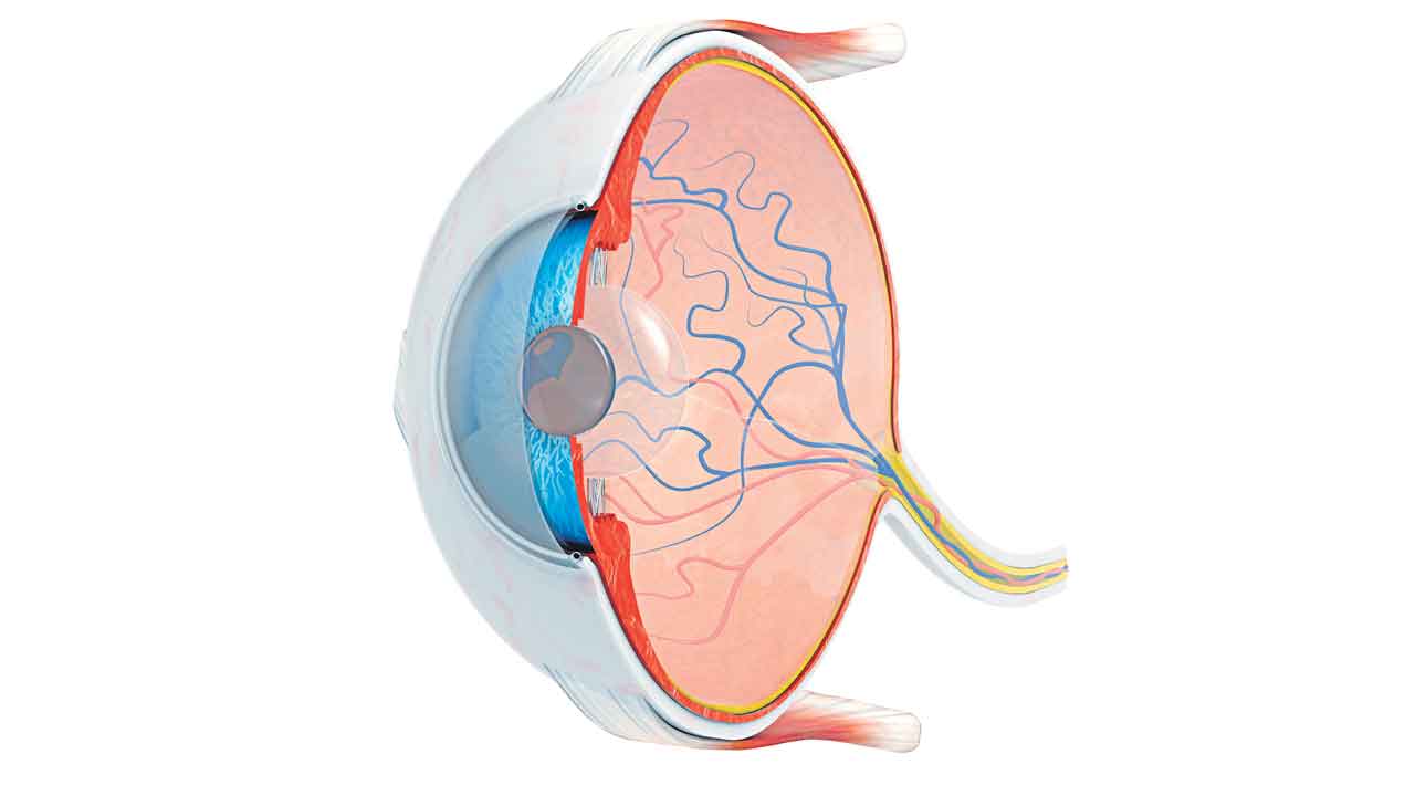 గ్లకోమా.. జాగ్రత్త సుమా!