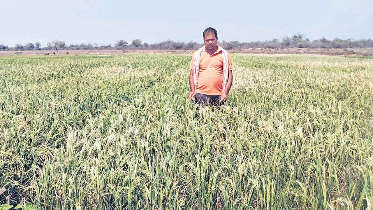 ఉత్తమన్నా.. సచ్చేదాక చూడకండి