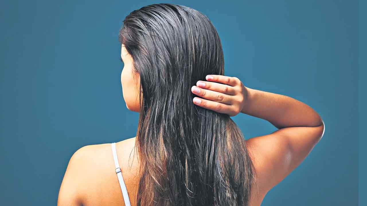 జిడ్డు తలకు కారణాలెన్నో..