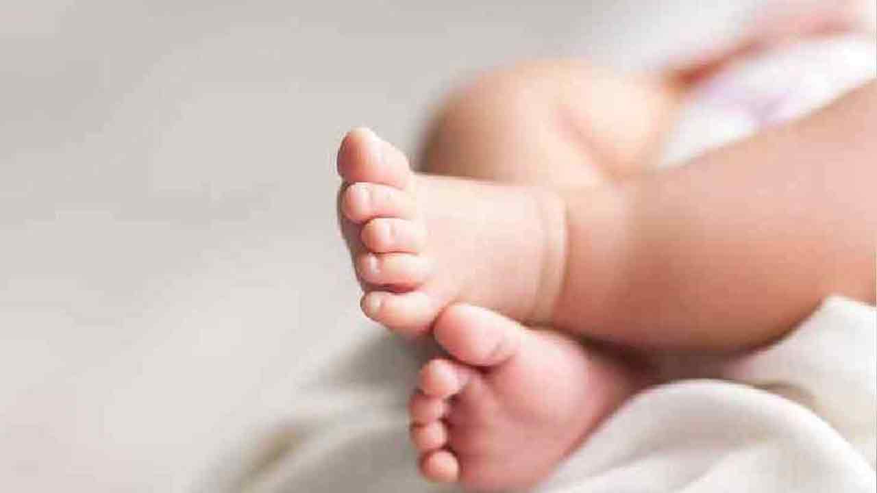 Sangareddy | సంగారెడ్డి జిల్లా ఆస్ప‌త్రిలో అప్పుడే పుట్టిన ప‌సికందు అప‌హ‌ర‌ణ‌..